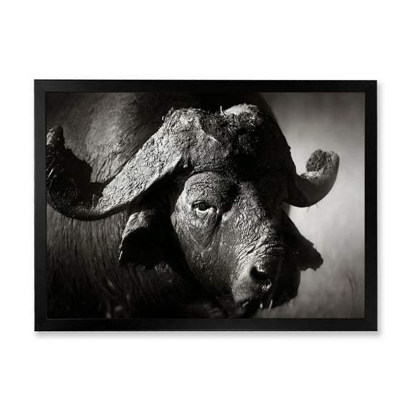 Designart 'Black and White Portrait Of Buffalo II' Farmhouse Framed Art Print