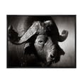thumbnail image 1 of Designart 'Black and White Portrait Of Buffalo II' Farmhouse Framed Canvas Wall Art Print, 1 of 1