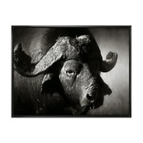 Designart 'Black and White Portrait Of Buffalo II' Farmhouse Framed Canvas Wall Art Print