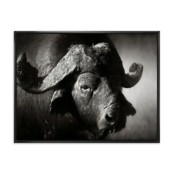 Designart 'Black and White Portrait Of Buffalo II' Farmhouse Framed Canvas Wall Art Print