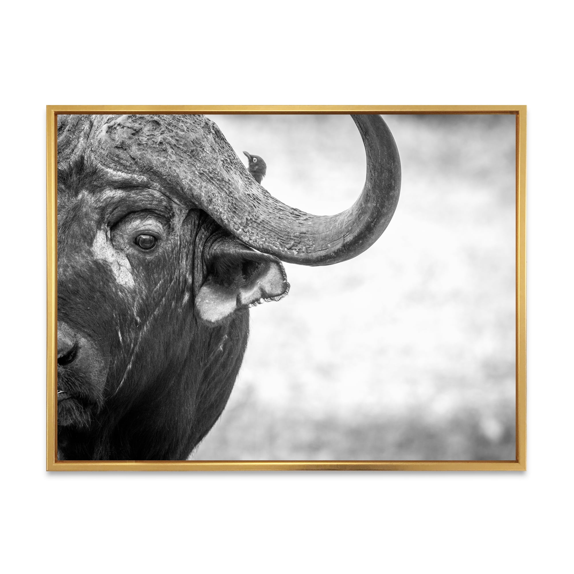 Designart 'Black and White Portrait Of Buffalo III' Farmhouse Framed Canvas Wall Art Print