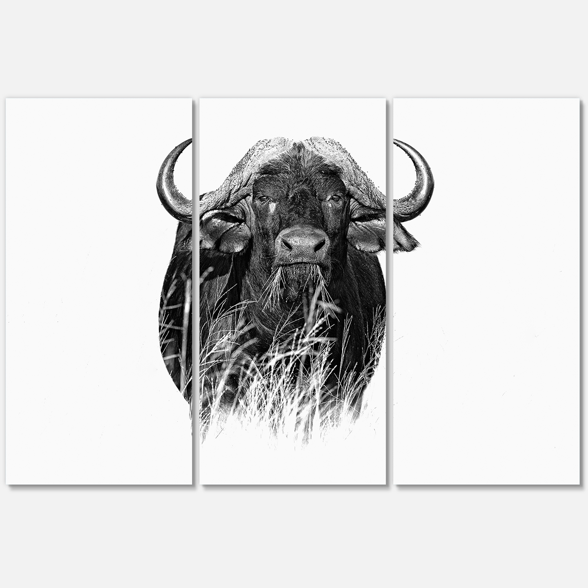 Designart ' Black and White Portrait Of Buffalo IV ' Farmhouse Canvas Wall Art Print