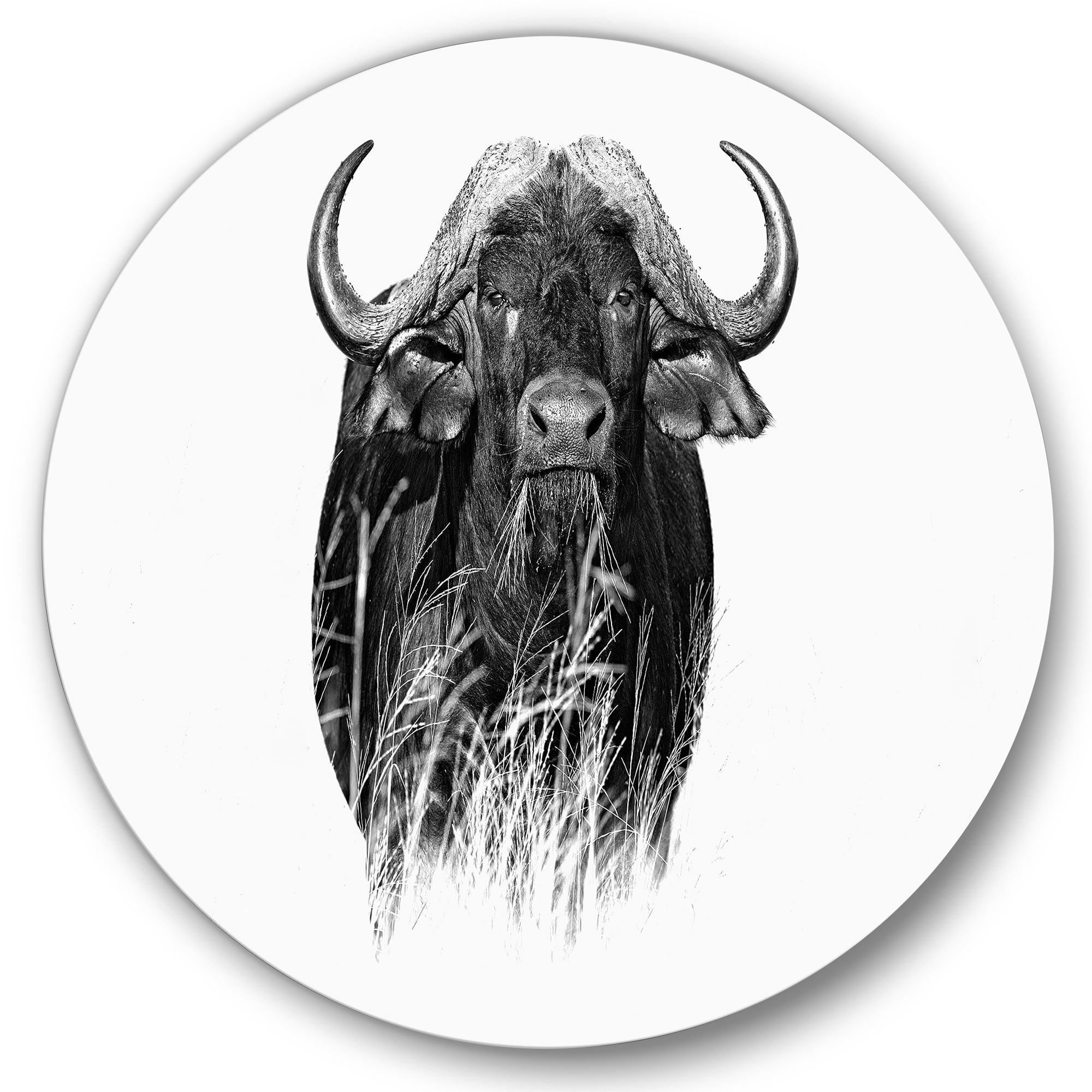 Designart 'Black and White Portrait Of Buffalo IV' Farmhouse Circle Metal Wall Art 11x11 - Disc of 11