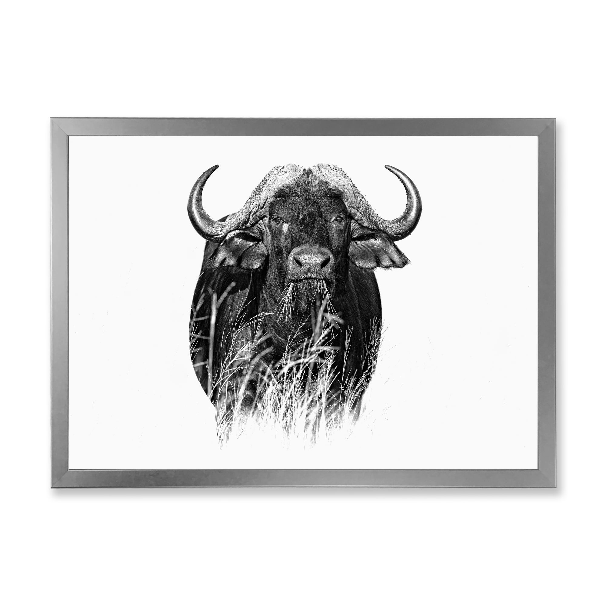 Designart 'Black and White Portrait Of Buffalo IV' Farmhouse Framed Art Print