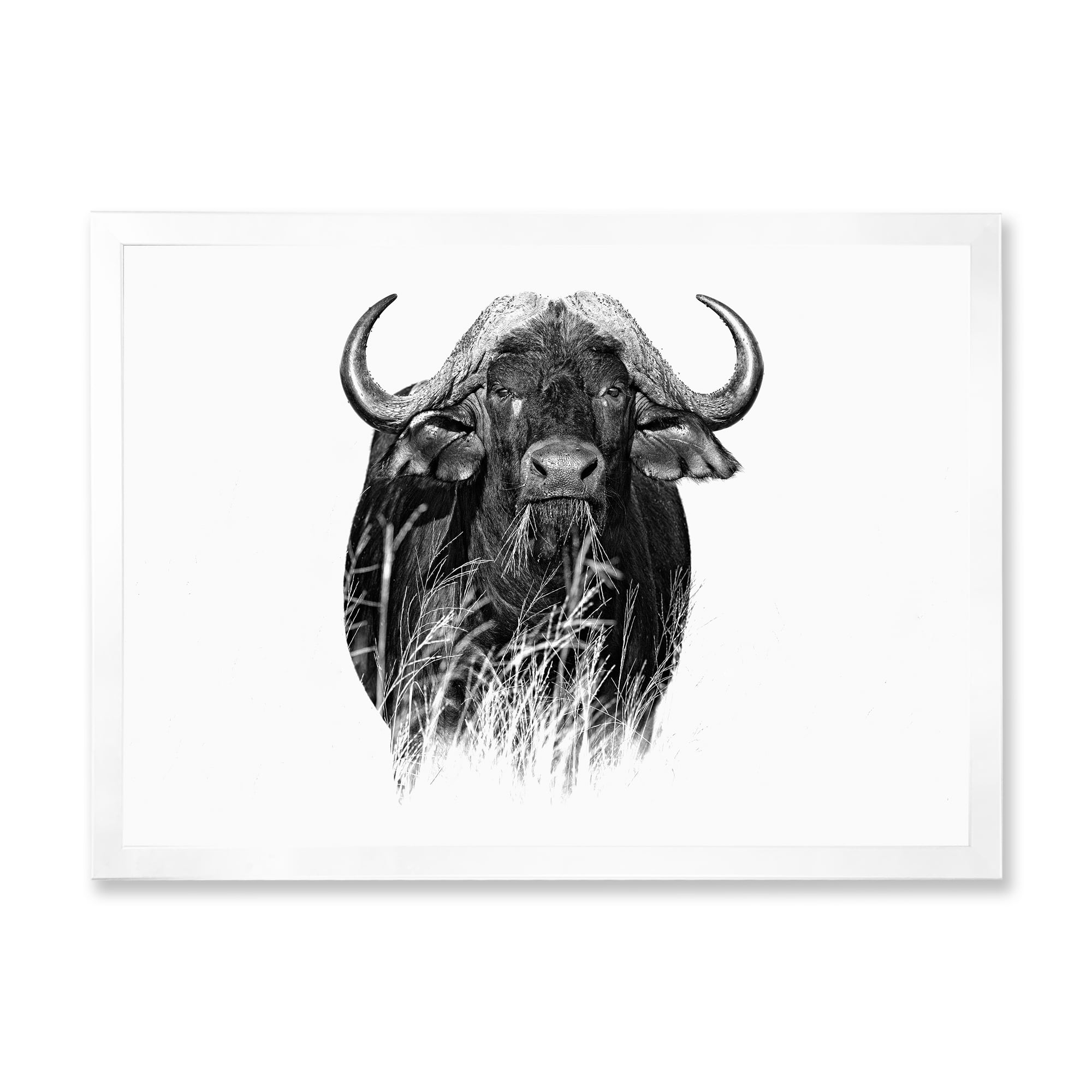 Designart 'Black and White Portrait Of Buffalo IV' Farmhouse Framed Art Print