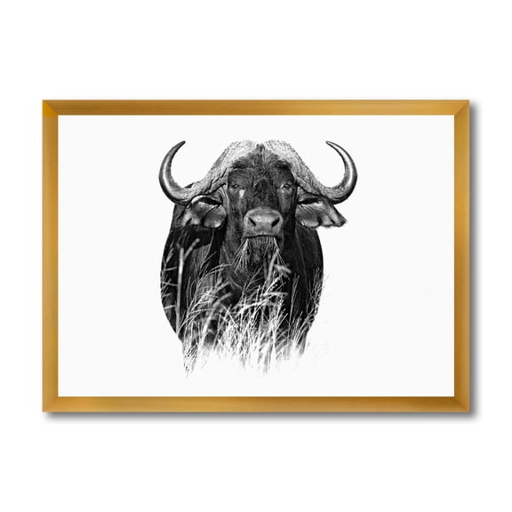 Designart 'Black and White Portrait Of Buffalo IV' Farmhouse Framed Art Print