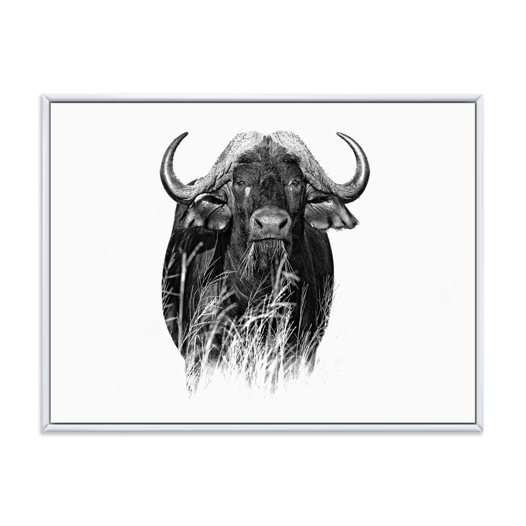 Designart 'Black and White Portrait Of Buffalo IV' Farmhouse Framed Canvas Wall Art Print
