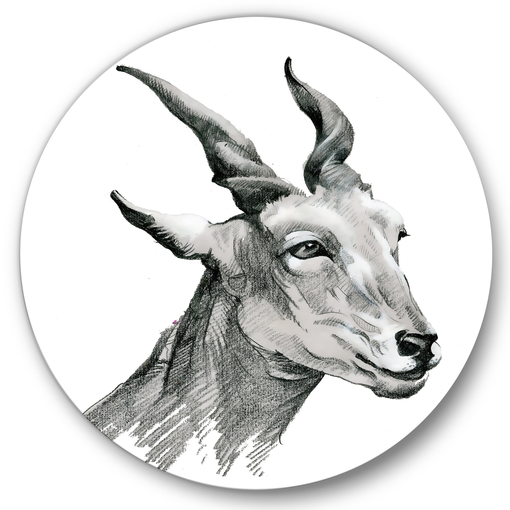 Designart 'Black and White Portrait Of Goat I' Farmhouse Circle Metal Wall Art 23x23 - Disc of 23