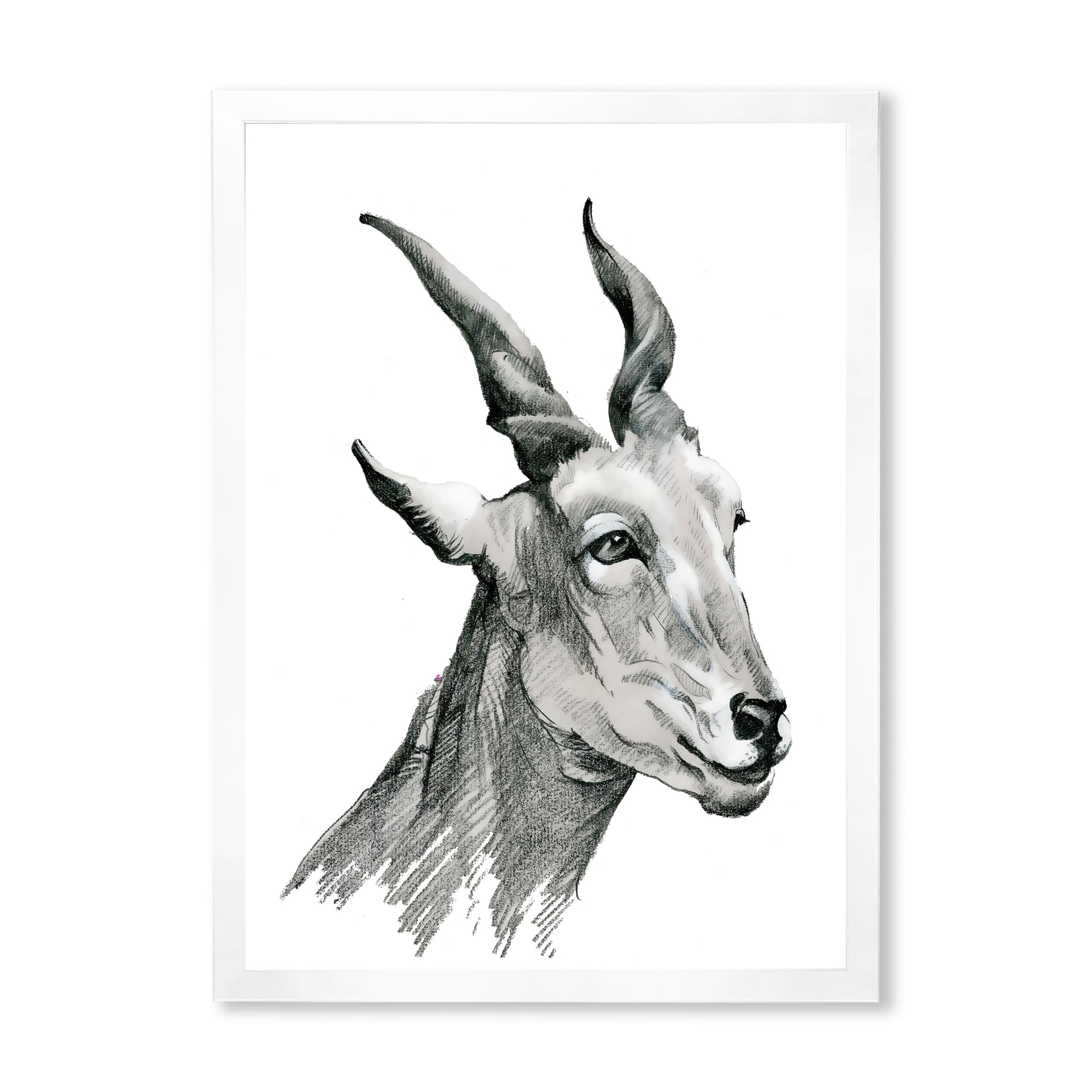 Designart 'Black and White Portrait Of Goat I' Farmhouse Framed Art Print