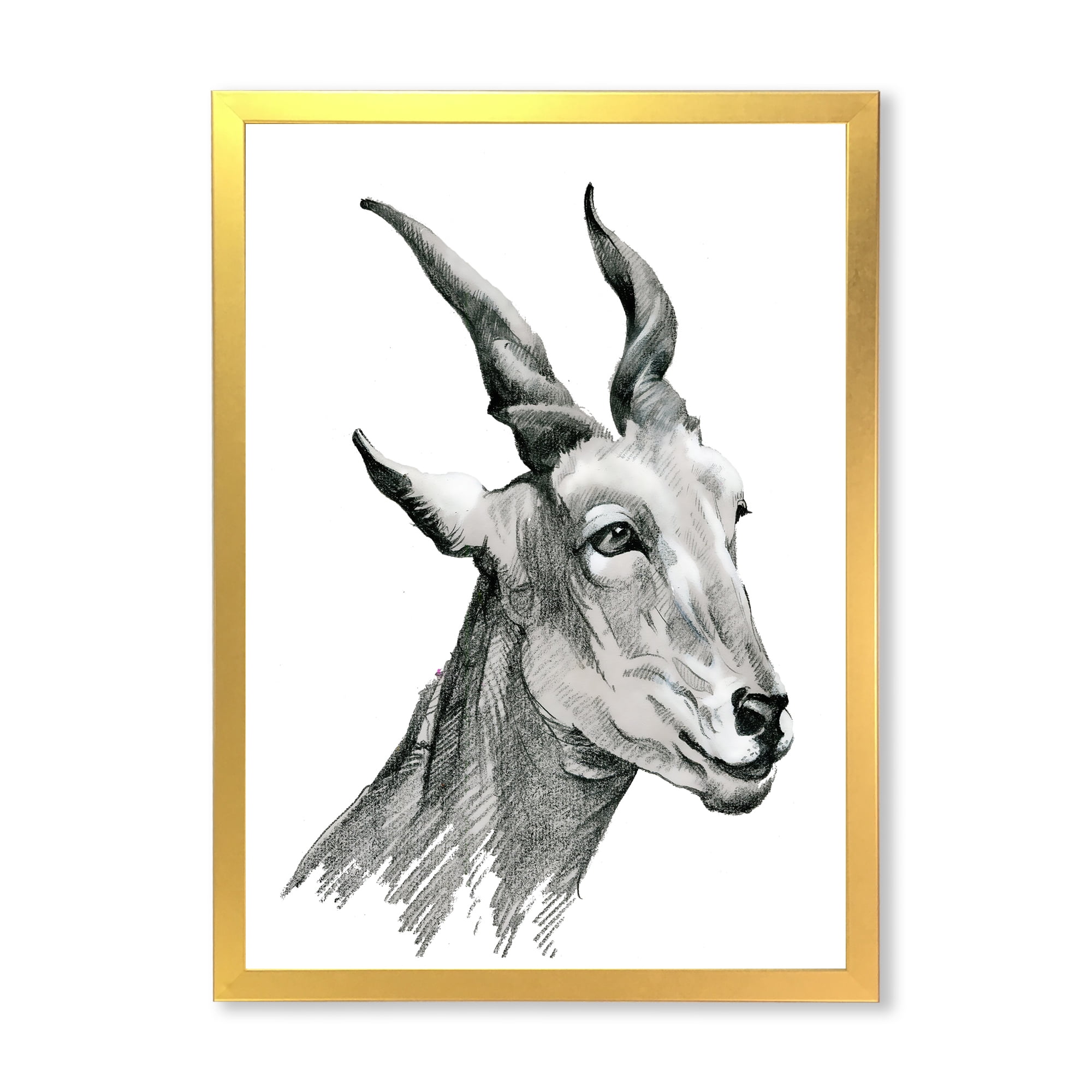 Designart 'Black and White Portrait Of Goat I' Farmhouse Framed Art Print