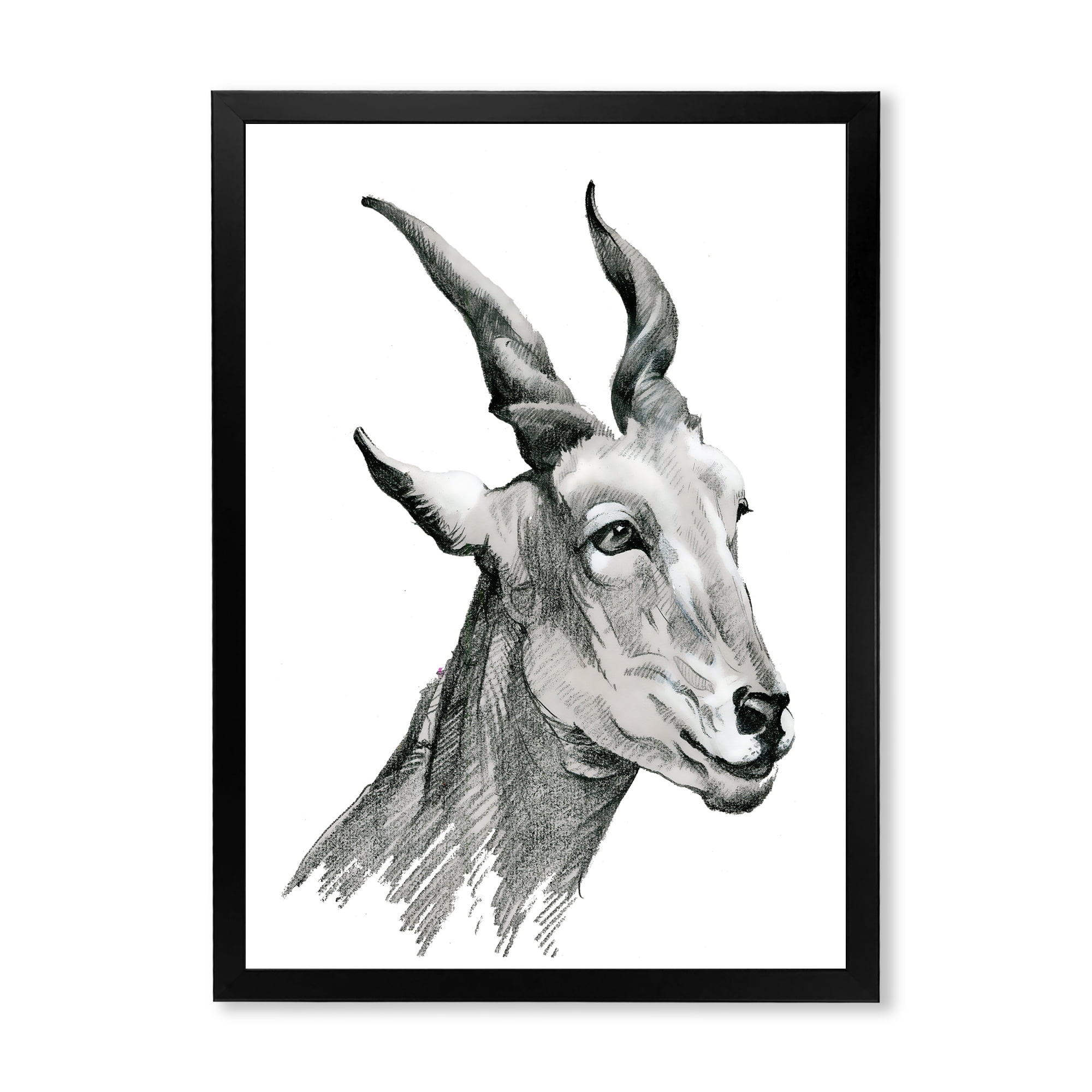 Designart 'Black and White Portrait Of Goat I' Farmhouse Framed Art Print