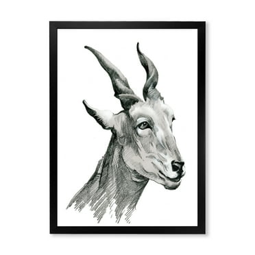 Designart 'Black and White Portrait Of Goat I' Farmhouse Framed Art Print