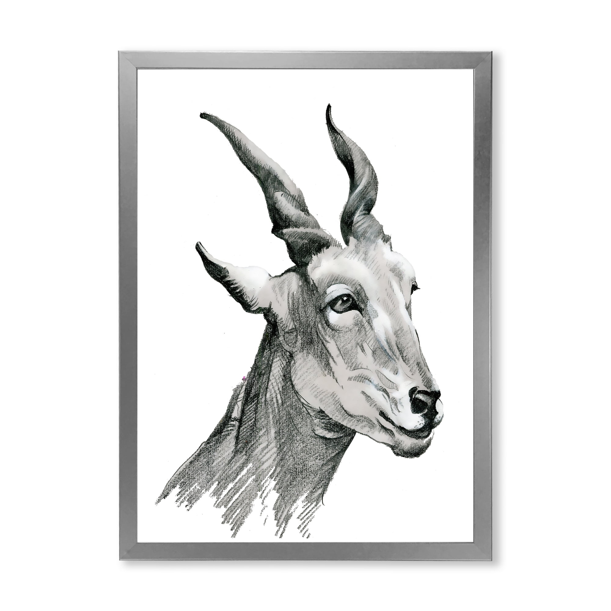 Designart 'Black and White Portrait Of Goat I' Farmhouse Framed Art Print