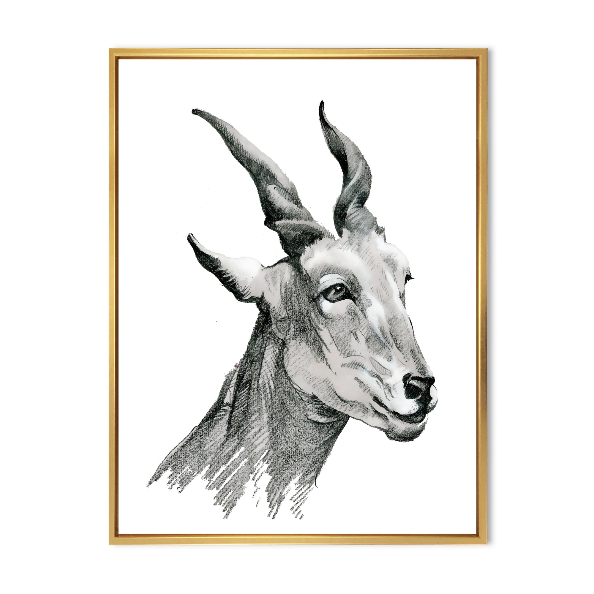 Designart 'Black and White Portrait Of Goat I' Farmhouse Framed Canvas Wall Art Print