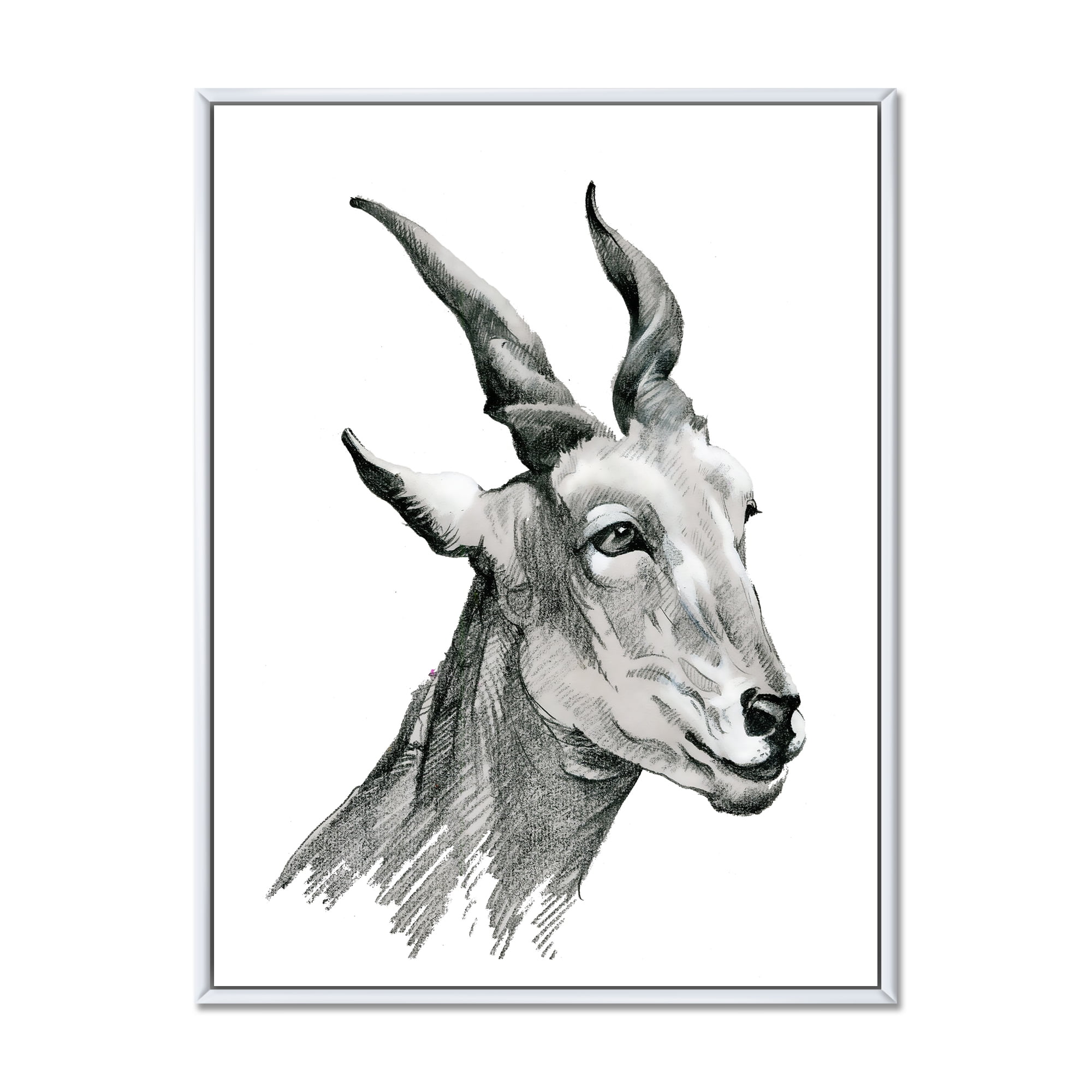 Designart 'Black and White Portrait Of Goat I' Farmhouse Framed Canvas Wall Art Print