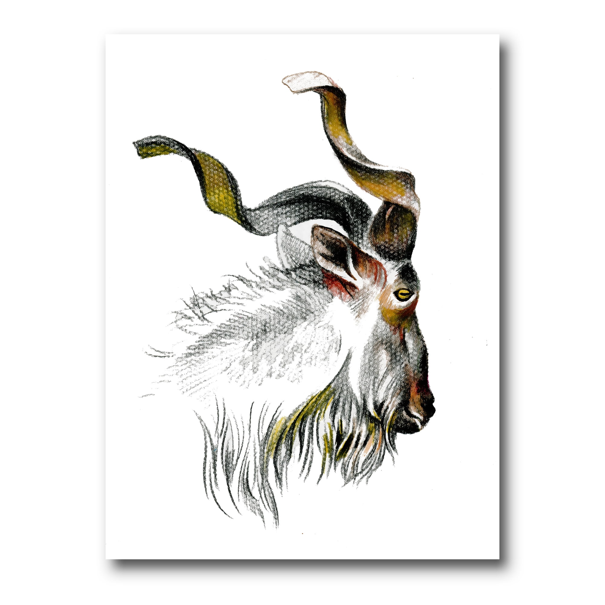 Designart ' Black and White Portrait Of Goat II ' Farmhouse Canvas Wall Art Print