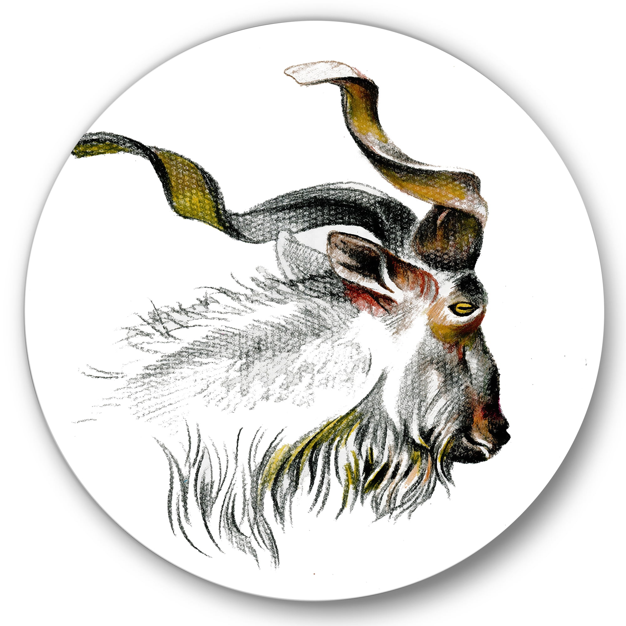 Designart 'Black and White Portrait Of Goat II' Farmhouse Circle Metal Wall Art 29x29 - Disc of 29