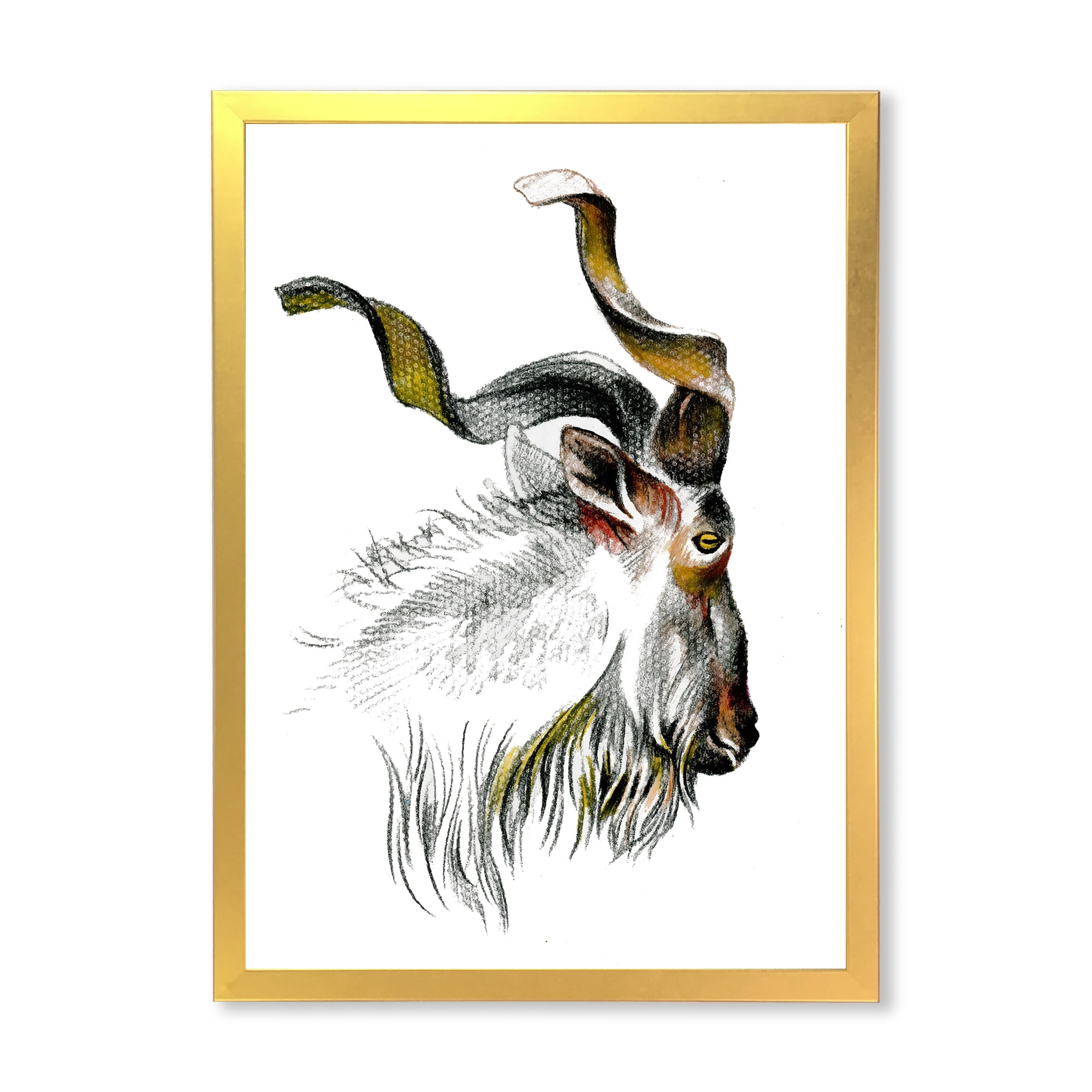 Designart 'Black and White Portrait Of Goat II' Farmhouse Framed Art Print