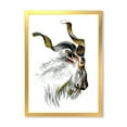 thumbnail image 1 of Designart 'Black and White Portrait Of Goat II' Farmhouse Framed Art Print, 1 of 1