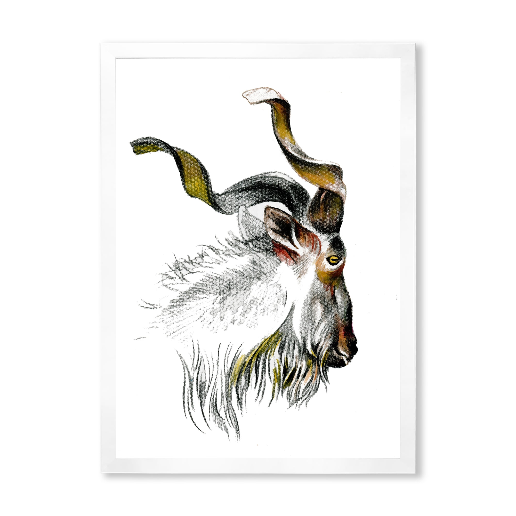 Designart 'Black and White Portrait Of Goat II' Farmhouse Framed Art Print