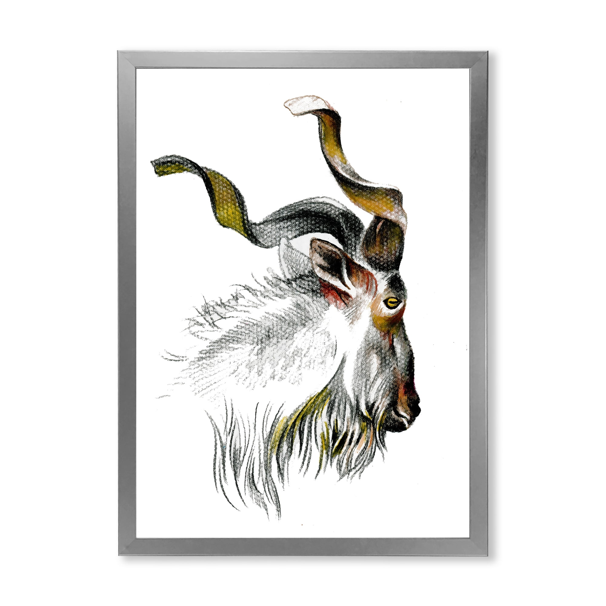 Designart 'Black and White Portrait Of Goat II' Farmhouse Framed Art Print