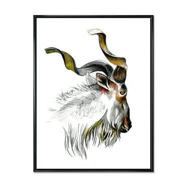 Designart 'Black and White Portrait Of Goat II' Farmhouse Framed Canvas Wall Art Print