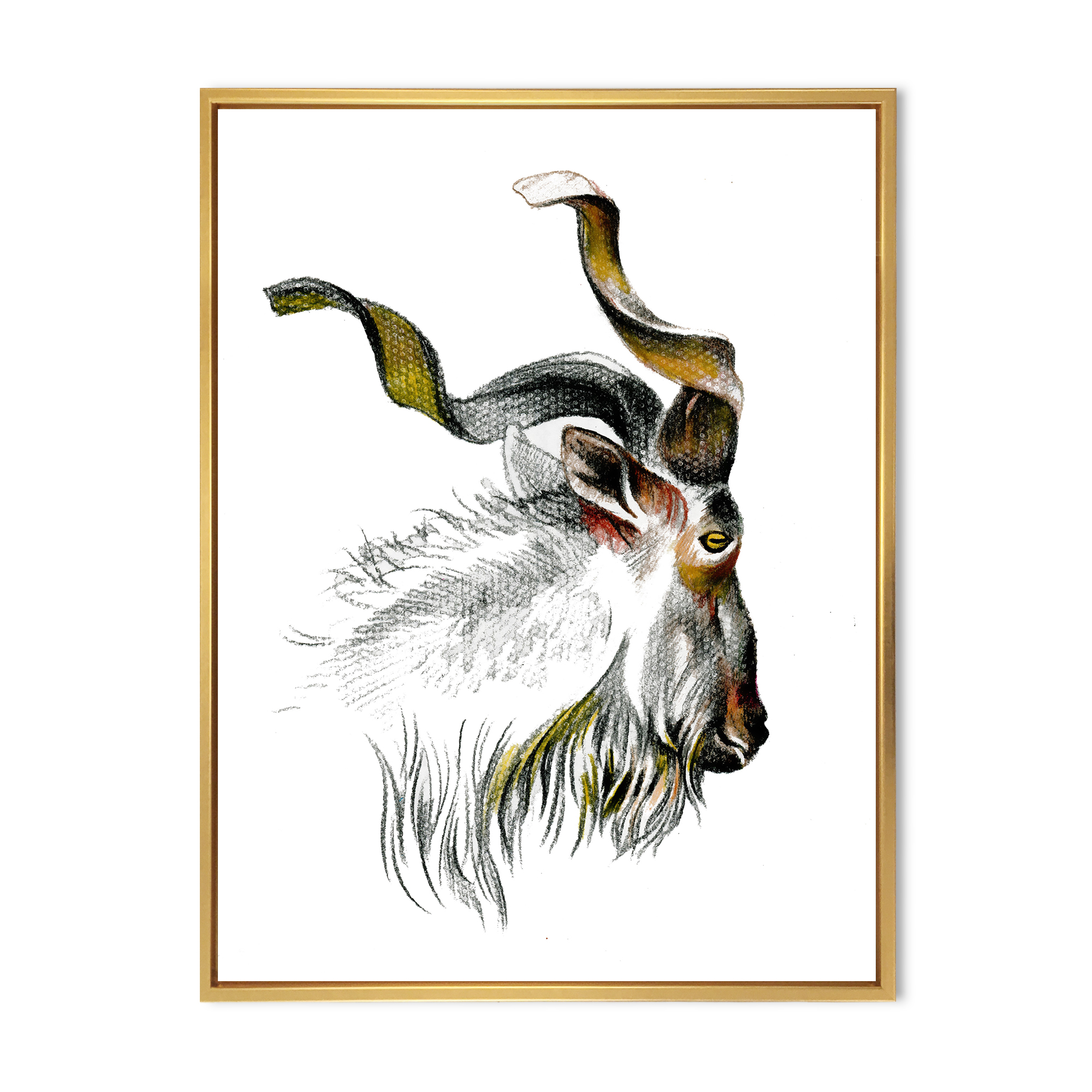 Designart 'Black and White Portrait Of Goat II' Farmhouse Framed Canvas Wall Art Print