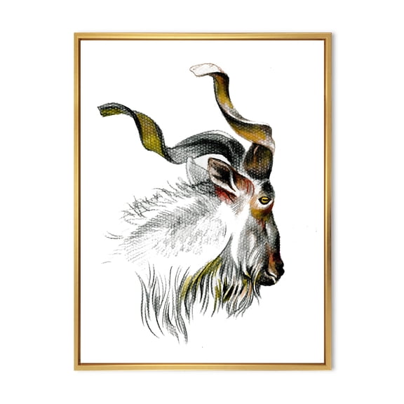 Designart 'Black and White Portrait Of Goat II' Farmhouse Framed Canvas Wall Art Print