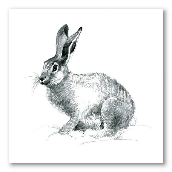 Designart ' Black and White Portrait Of Rabbit ' Farmhouse Canvas Wall Art Print