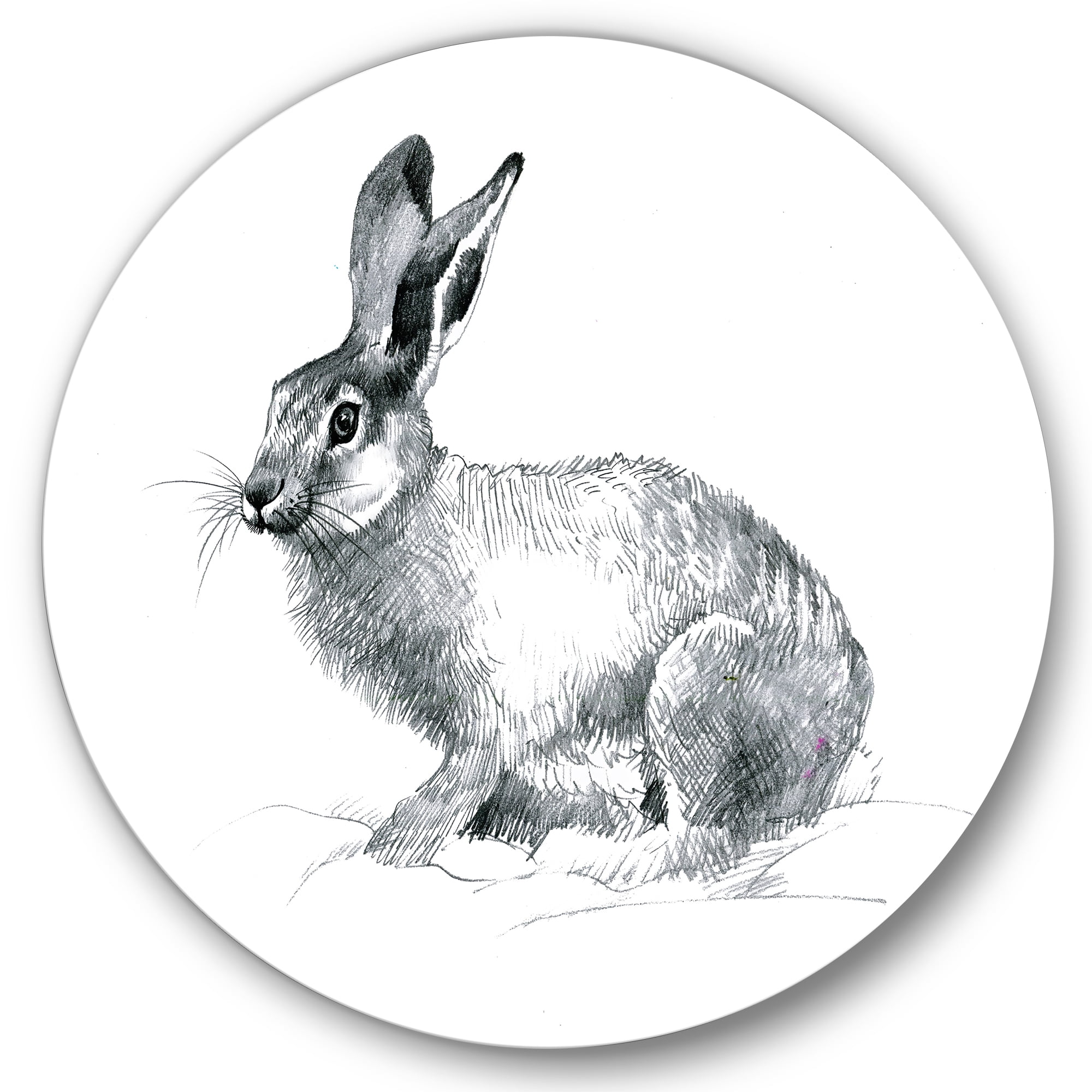 Designart 'Black and White Portrait Of Rabbit' Farmhouse Circle Metal Wall Art 23x23 - Disc of 23