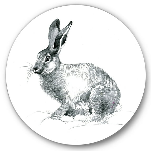 Designart 'Black and White Portrait Of Rabbit' Farmhouse Circle Metal Wall Art 29x29 - Disc of 29