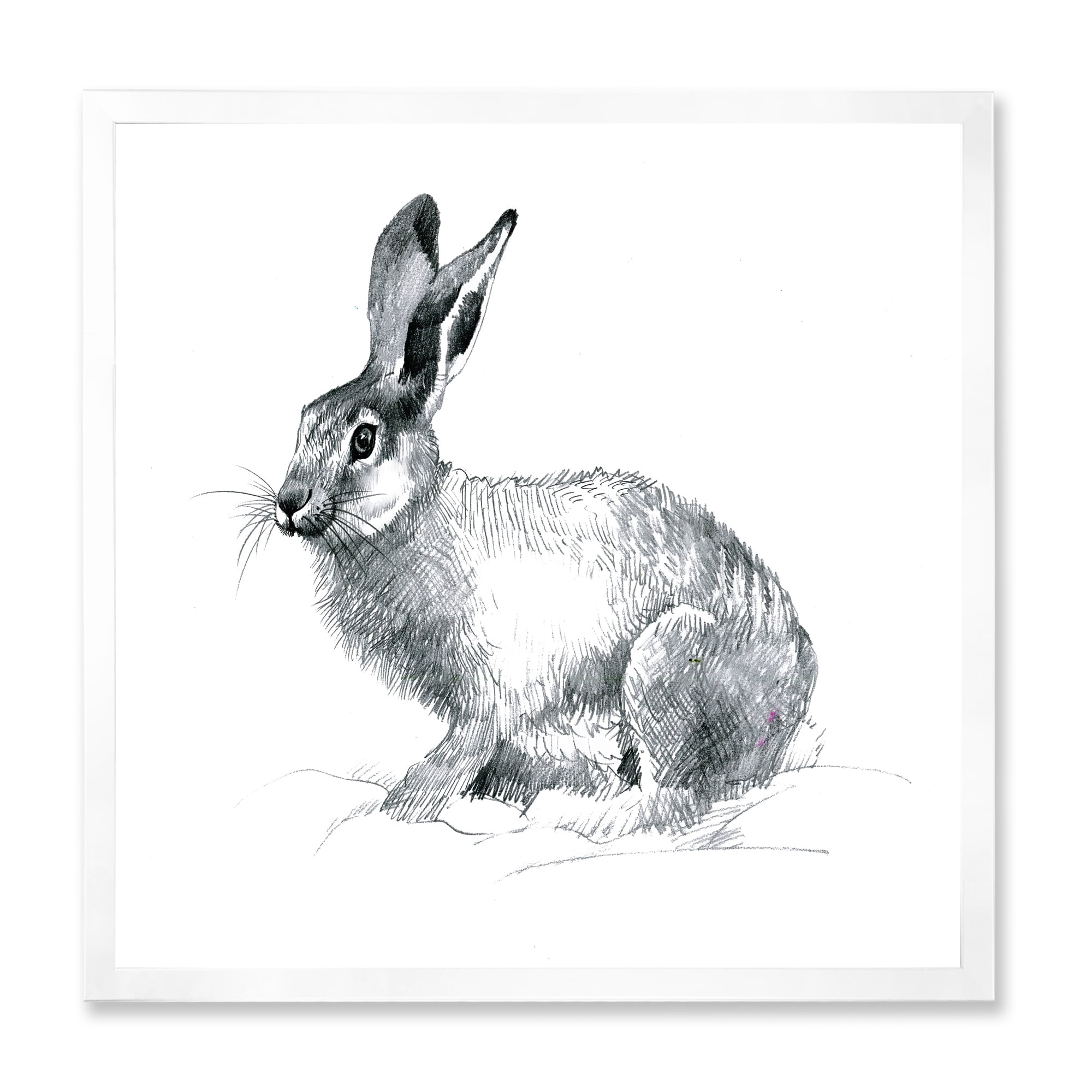 Designart 'Black and White Portrait Of Rabbit' Farmhouse Framed Art Print