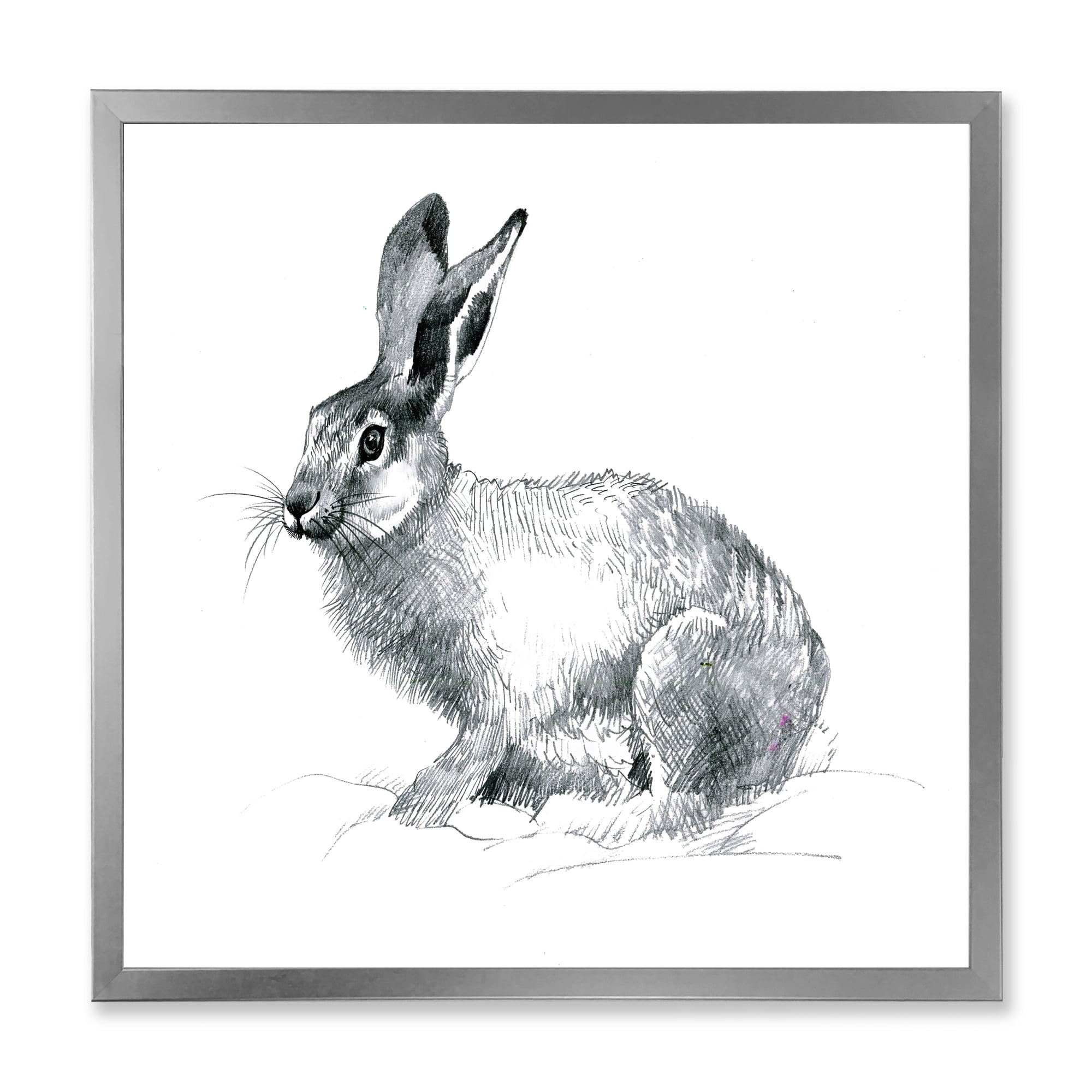 Designart 'Black and White Portrait Of Rabbit' Farmhouse Framed Art Print