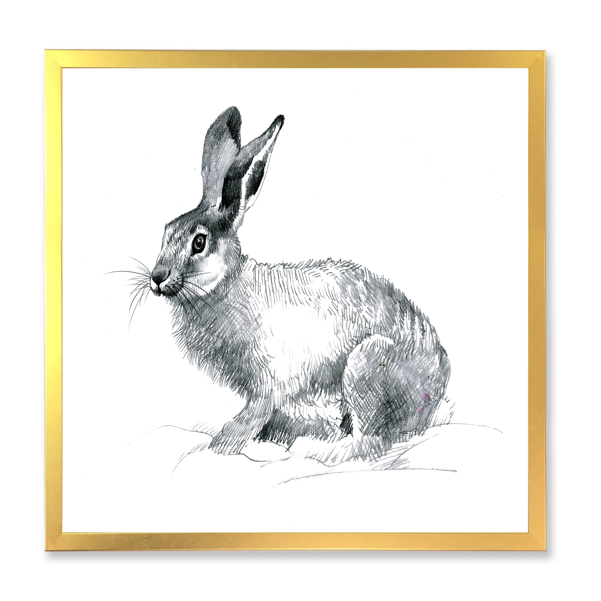 Designart 'Black and White Portrait Of Rabbit' Farmhouse Framed Art Print