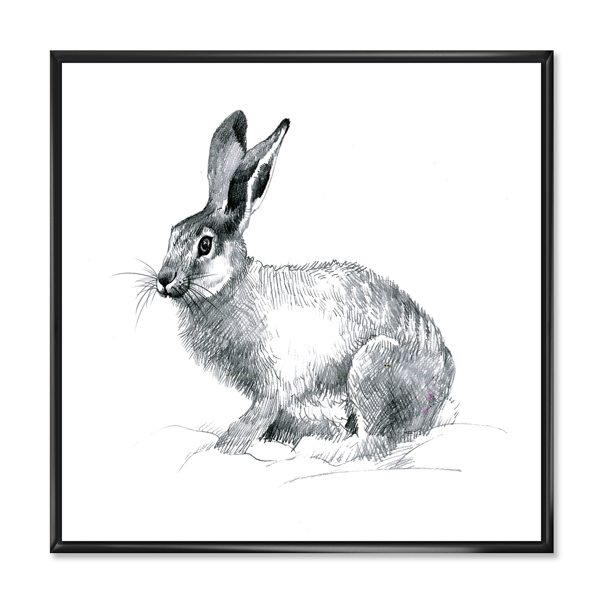 Designart 'Black and White Portrait Of Rabbit' Farmhouse Framed Canvas Wall Art Print