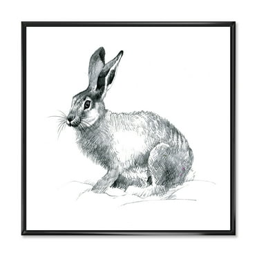 Designart 'Black and White Portrait Of Rabbit' Farmhouse Framed Canvas Wall Art Print