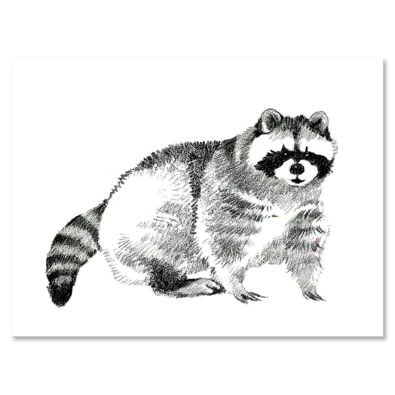 Designart ' Black and White Portrait Of Raccoon ' Farmhouse Canvas Wall Art Print