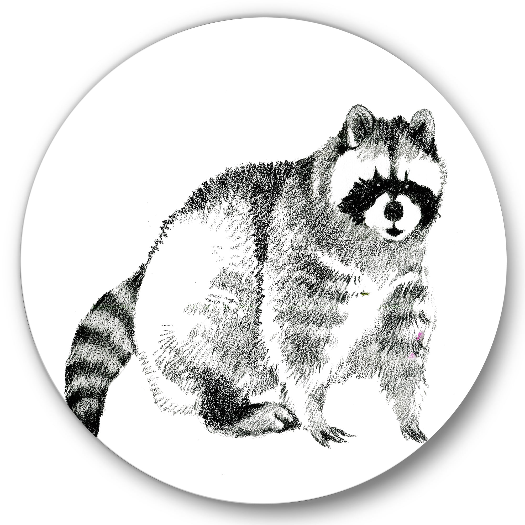 Designart 'Black and White Portrait Of Raccoon' Farmhouse Circle Metal Wall Art 29x29 - Disc of 29