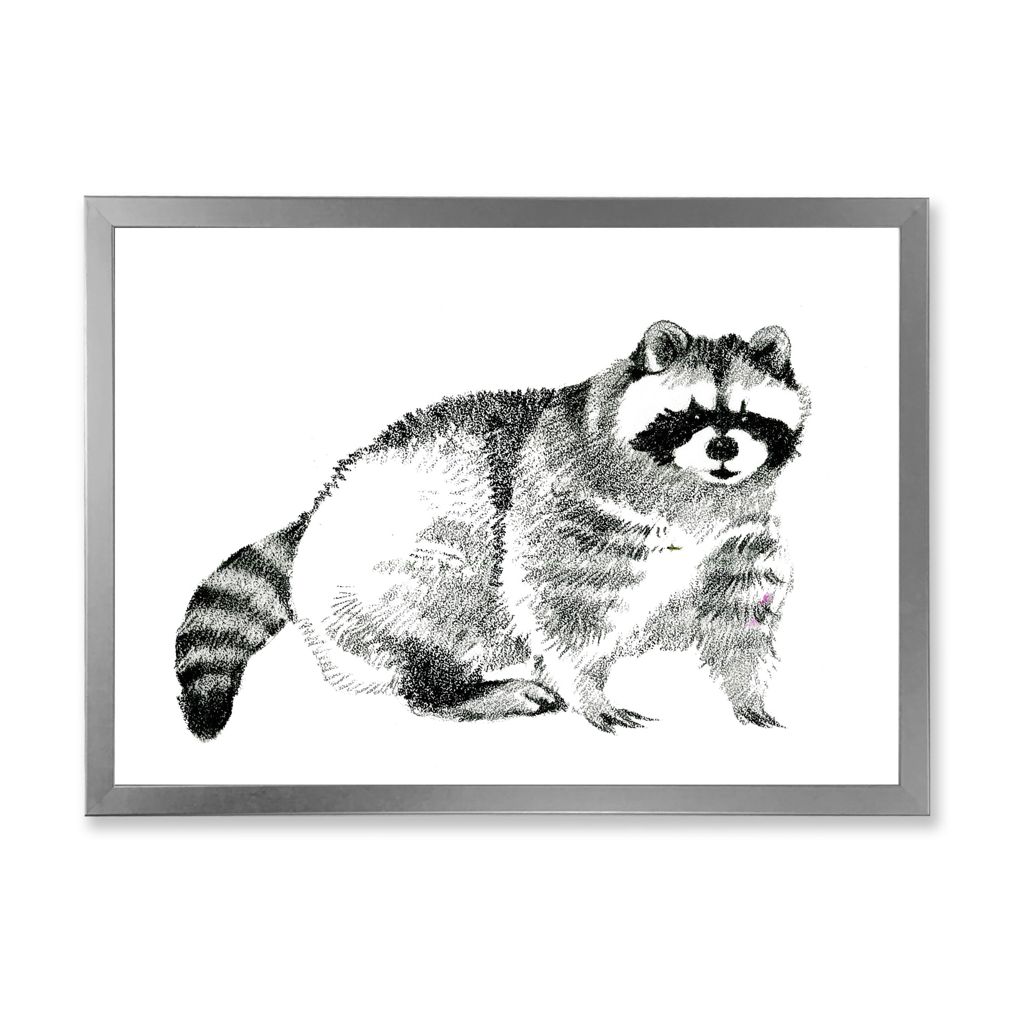 Designart 'Black and White Portrait Of Raccoon' Farmhouse Framed Art Print