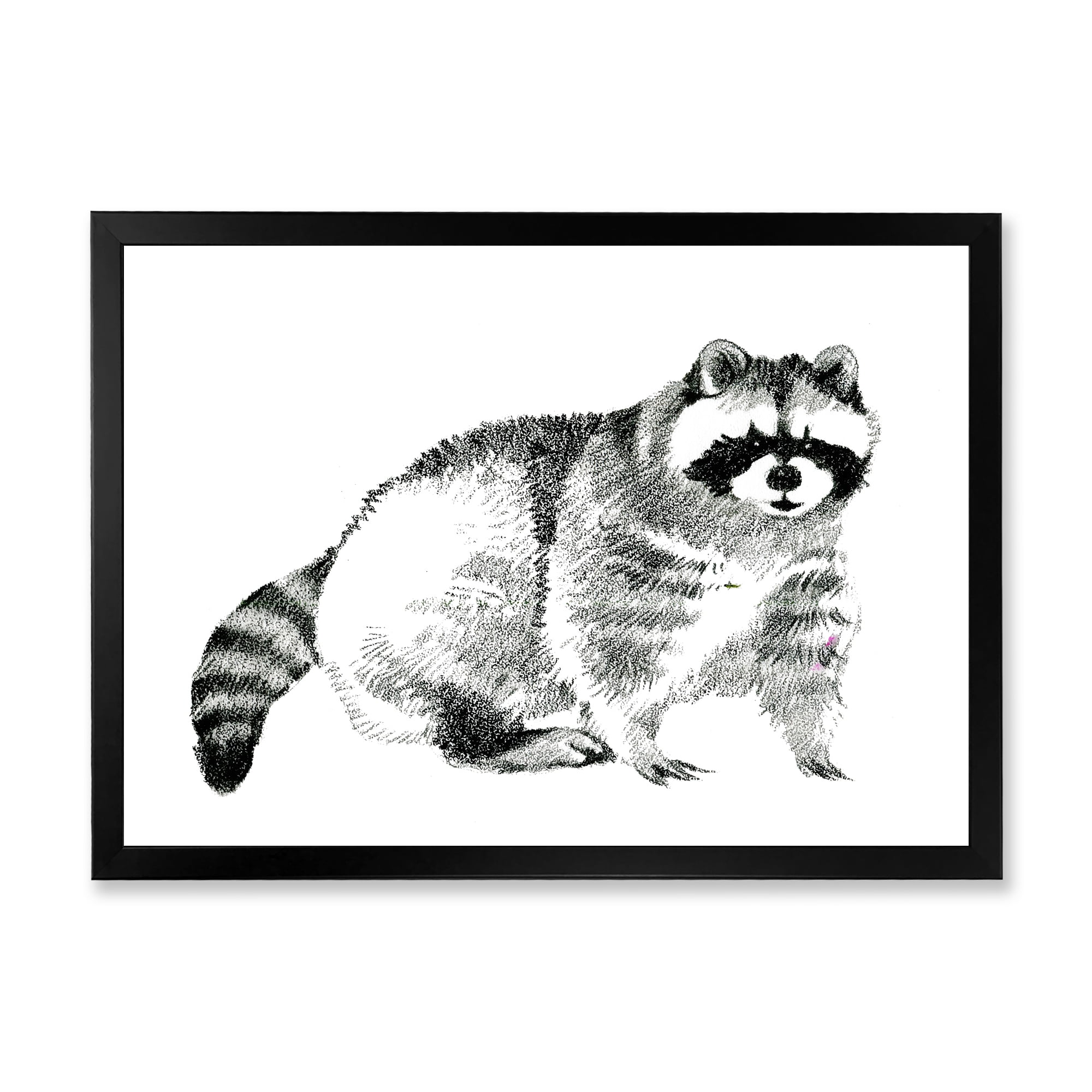 Designart 'Black and White Portrait Of Raccoon' Farmhouse Framed Art Print