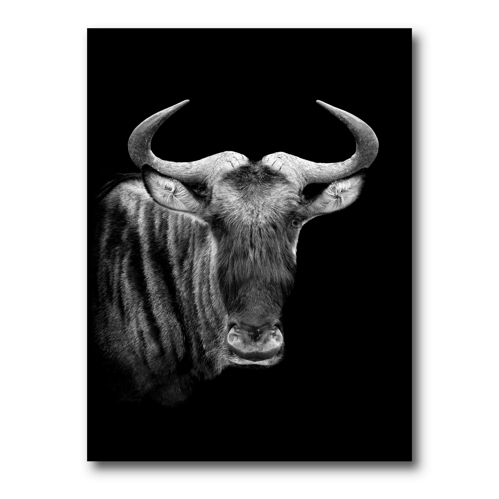 Designart ' Black and White Portrait Of Wildebeest ' Farmhouse Canvas Wall Art Print