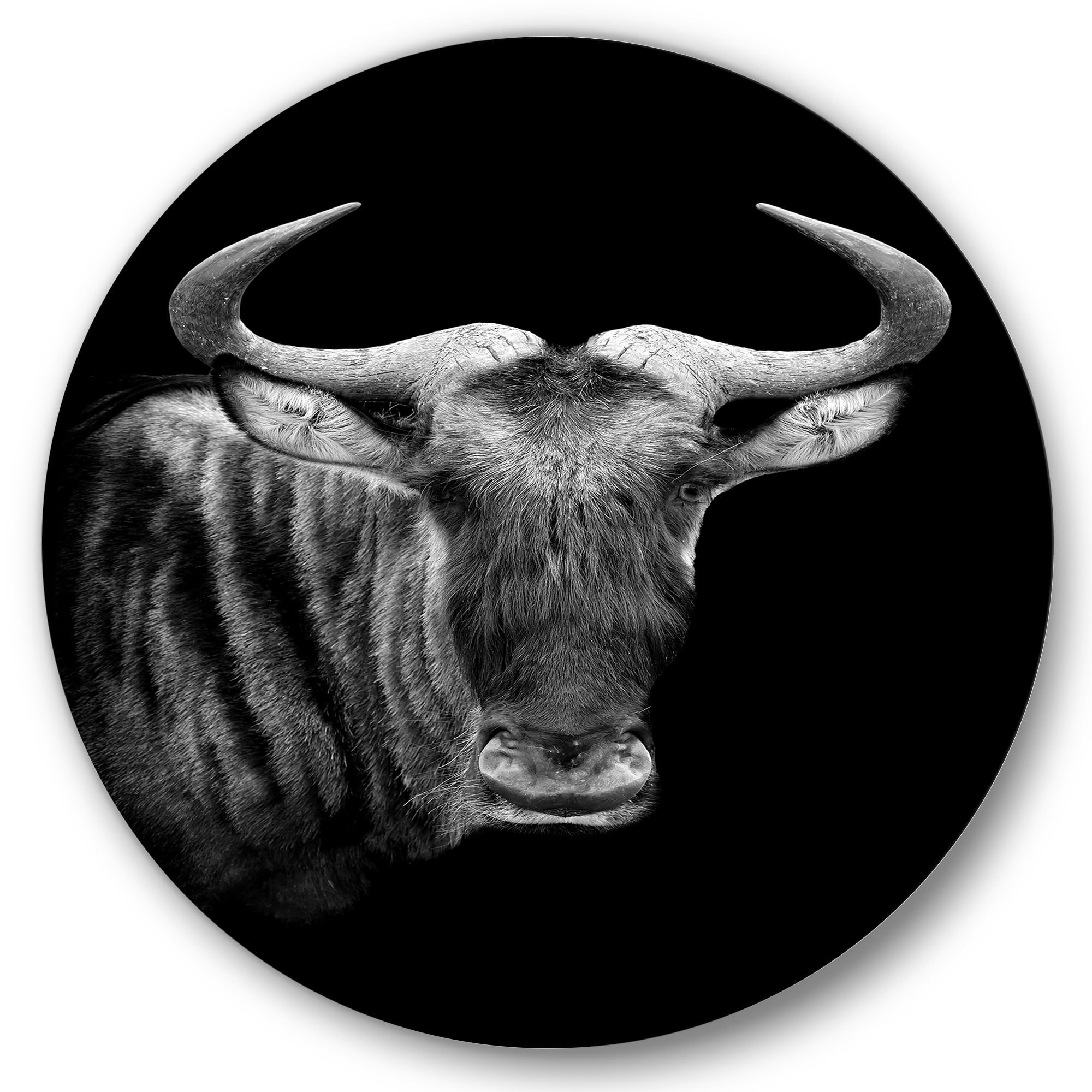 Designart 'Black and White Portrait Of Wildebeest' Farmhouse Circle Metal Wall Art 36x36 - Disc of 36