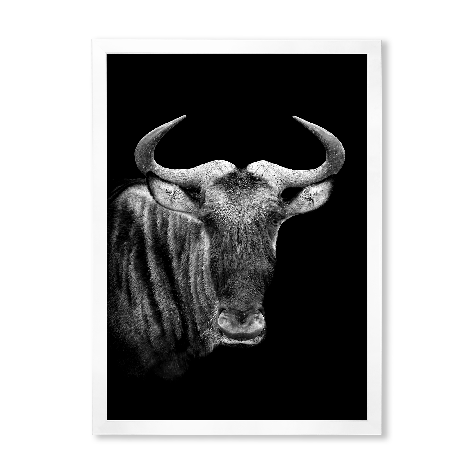 Designart 'Black and White Portrait Of Wildebeest' Farmhouse Framed Art Print