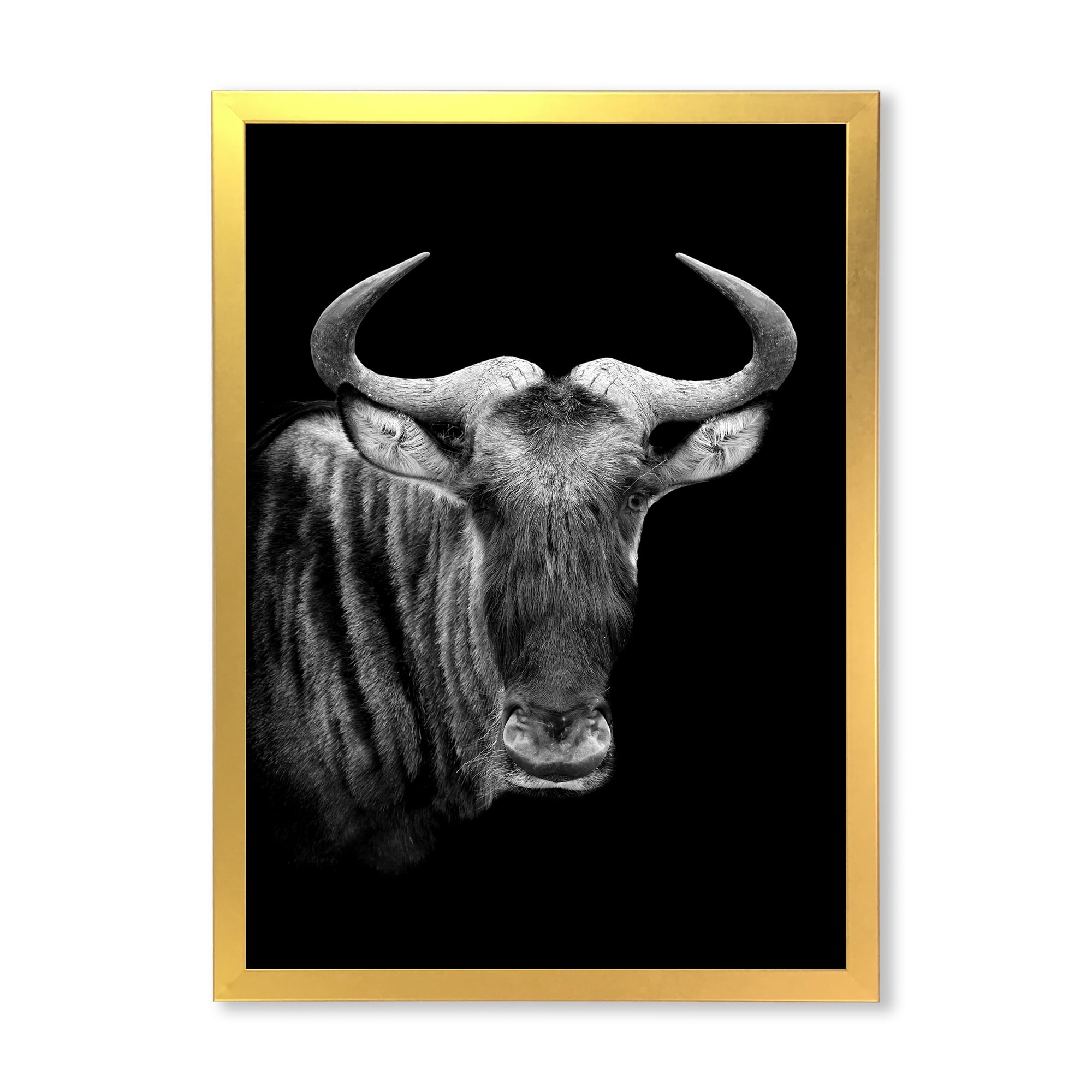 Designart 'Black and White Portrait Of Wildebeest' Farmhouse Framed Art Print