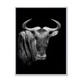 thumbnail image 1 of Designart 'Black and White Portrait Of Wildebeest' Farmhouse Framed Canvas Wall Art Print, 1 of 1