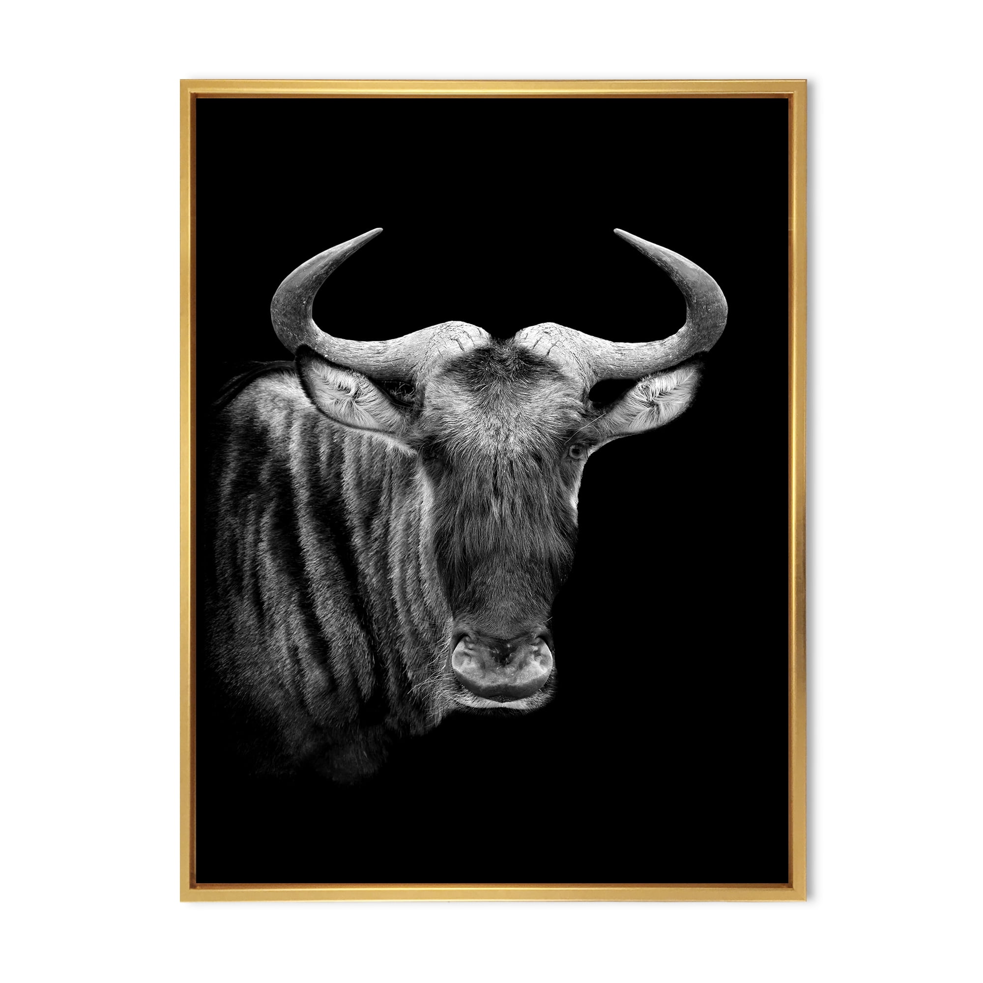 Designart 'Black and White Portrait Of Wildebeest' Farmhouse Framed Canvas Wall Art Print