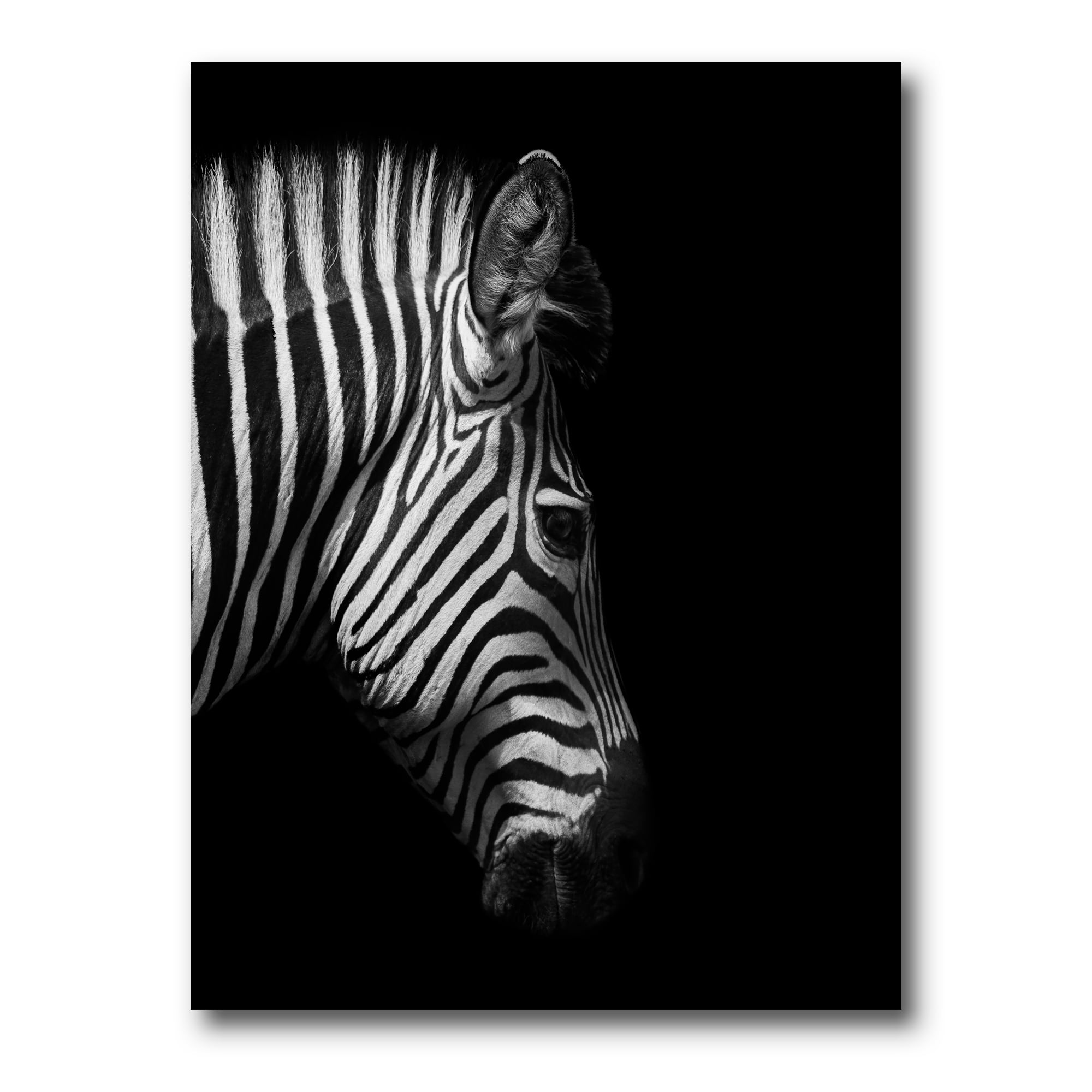Designart ' Black and White Portrait of Zebra Head ' Farmhouse Canvas Wall Art Print