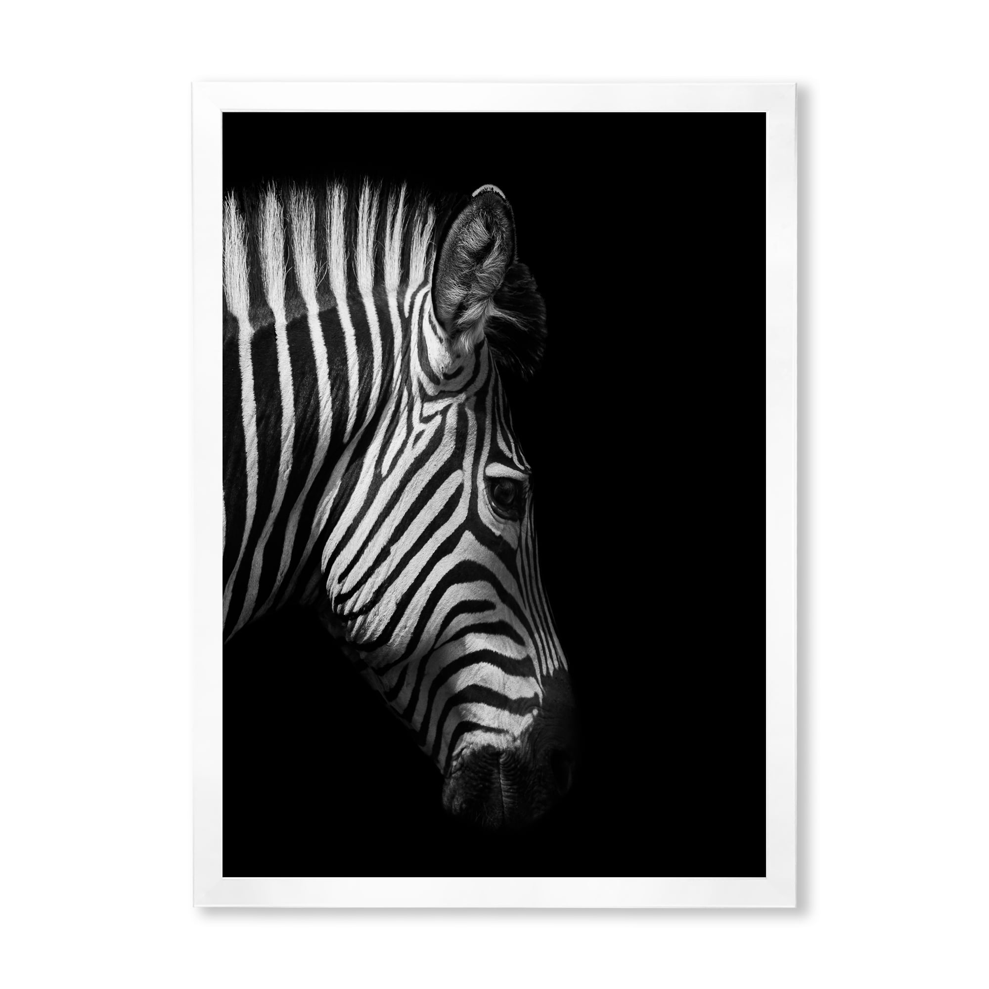 Designart 'Black and White Portrait of Zebra Head' Farmhouse Framed Art Print