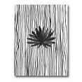 thumbnail image 1 of Designart ' Black and White Striped Under Tropical Leaf III ' Modern Canvas Wall Art Print, 1 of 4