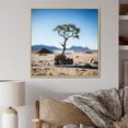 Designart "Bliss of African Safari Tree III" Landscapes Framed Wall Art